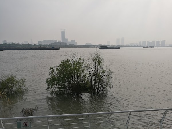南园公园 4