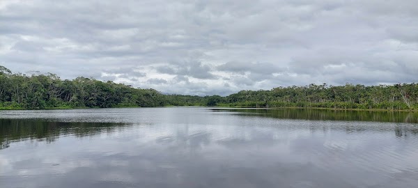 Pilchicocha 1