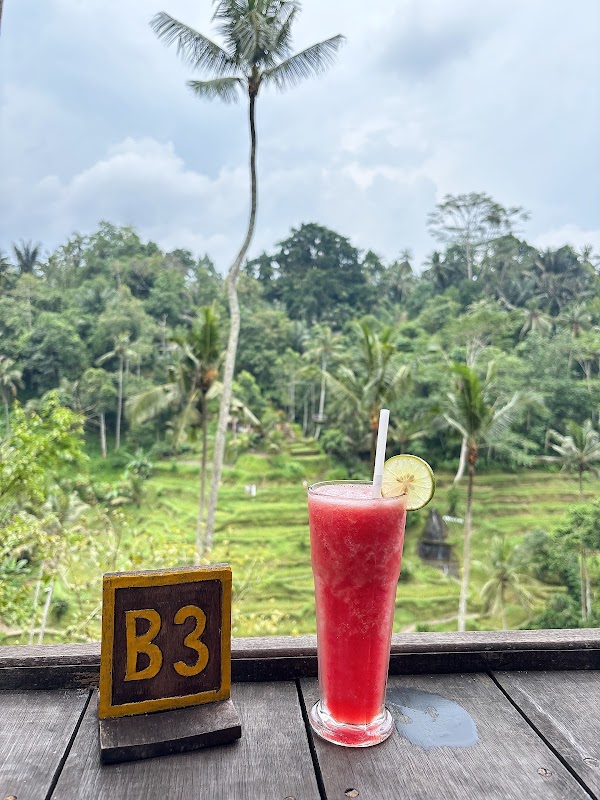 Rice Terrace Trekking & Swing Uma Ceking 2