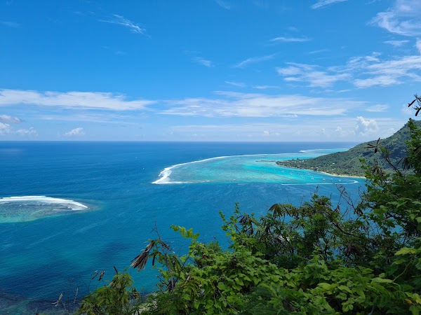 Magic Mountain Faaroa
