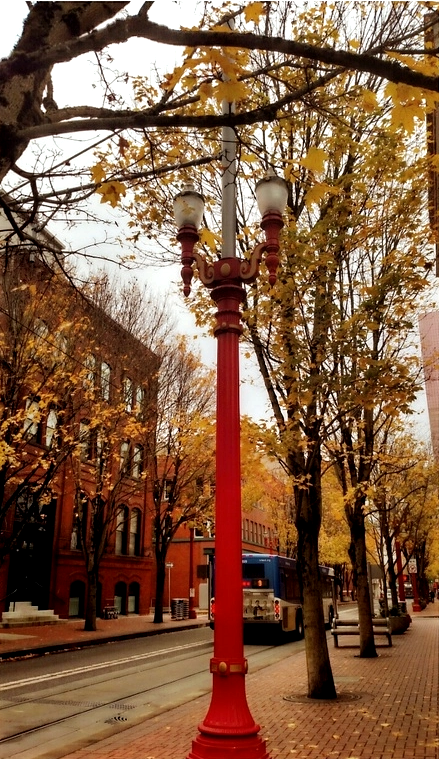 Pearl District 5