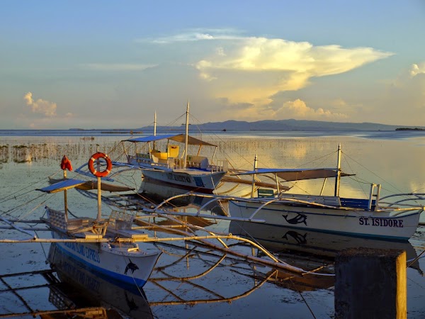 Panglao 4