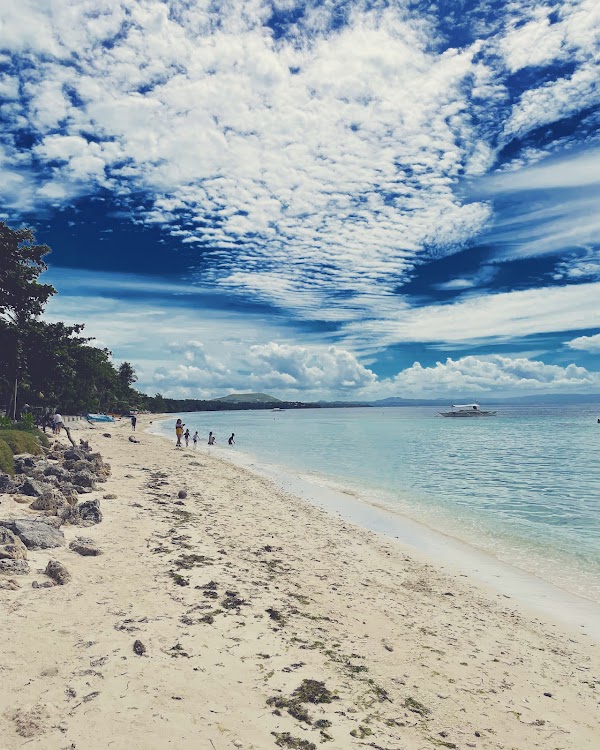 Panglao 3