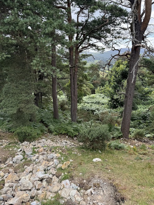 Ballycorus Lead Mines 3