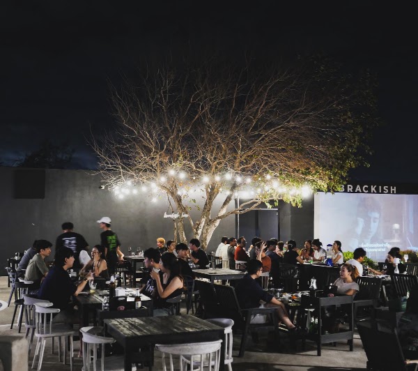 Brackish beach bar 4