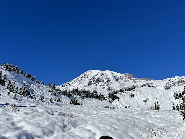 Mt. Rainier National Park Sign 4