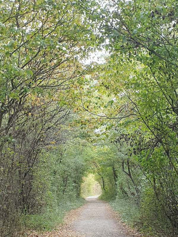 Nationalpark Donau-Auen - Eingang Wien-Lobau 3