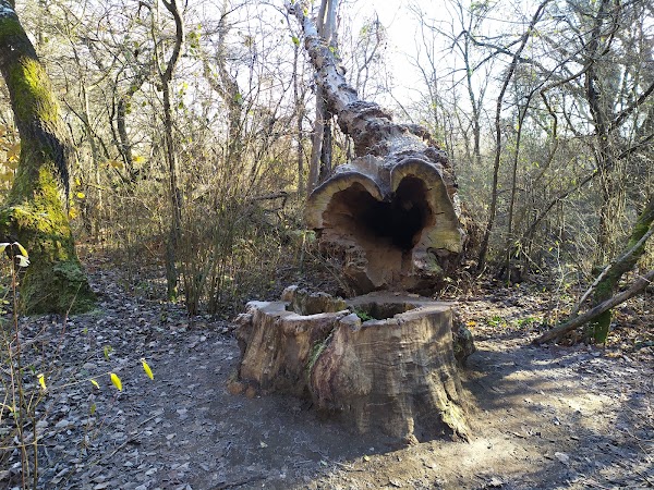Nationalpark Donau-Auen - Eingang Wien-Lobau 2