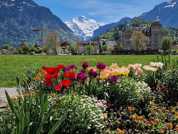 Höhematte Interlaken 5