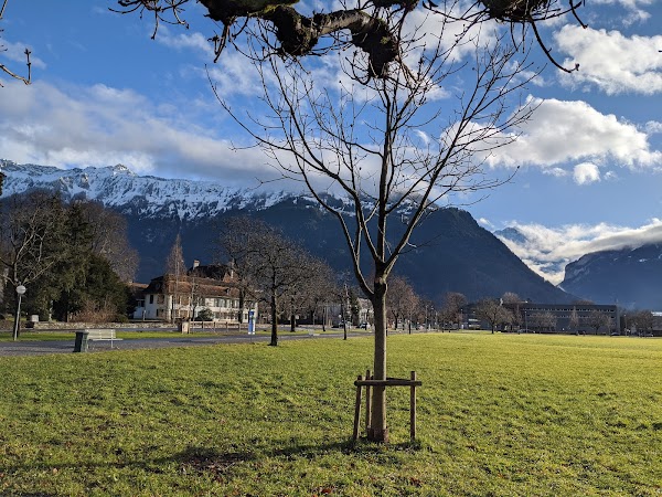 Höhematte Interlaken 3