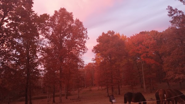 Crossville 2