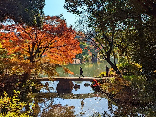 Rikugien Gardens 5