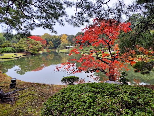 Rikugien Gardens 4