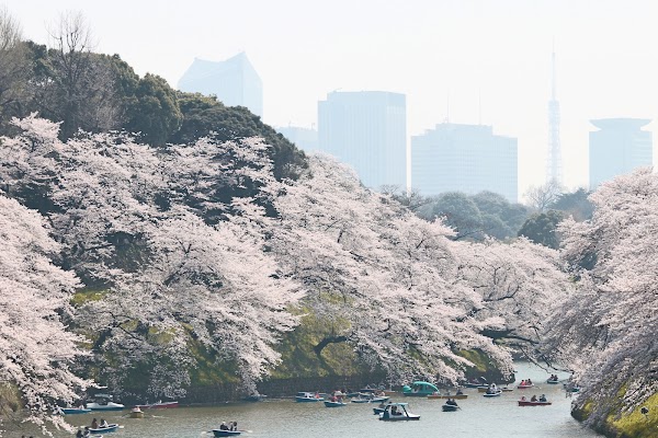 Rikugien Gardens 3