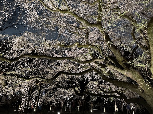 Rikugien Gardens 2