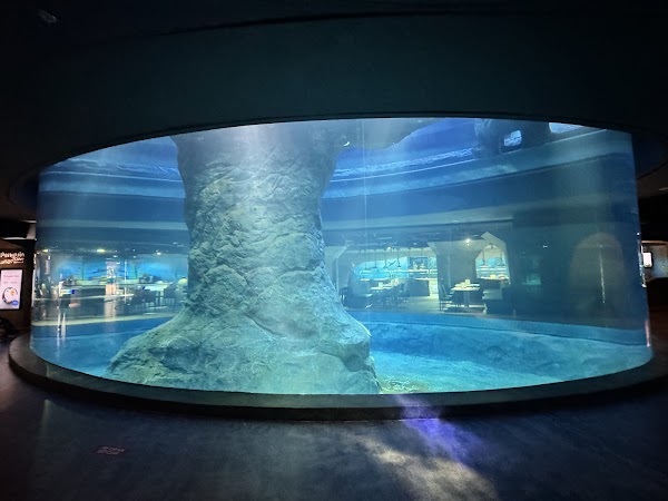 Ocean Network Express Penguin Cove 1