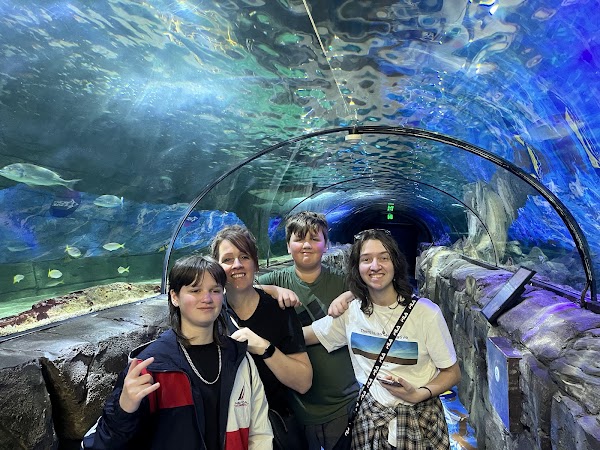 SEA LIFE Sydney Aquarium 1