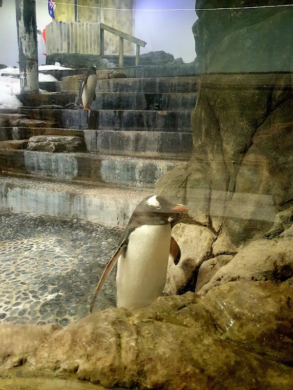 SEA LIFE Sydney Aquarium 2