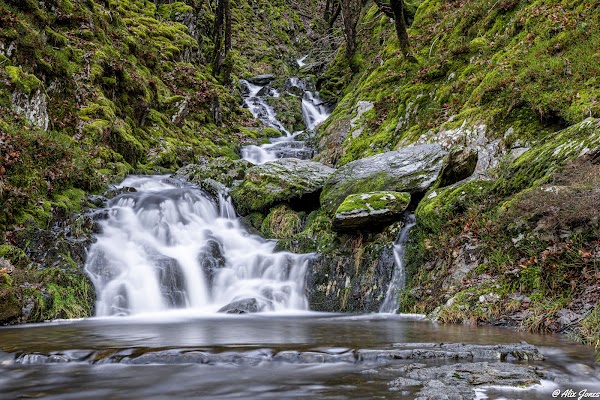 Wales 4