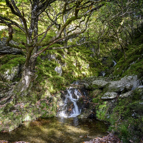 Elan Valley Waterfall Trail 5
