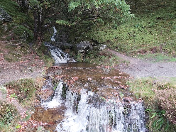 Elan Valley Waterfall Trail 4