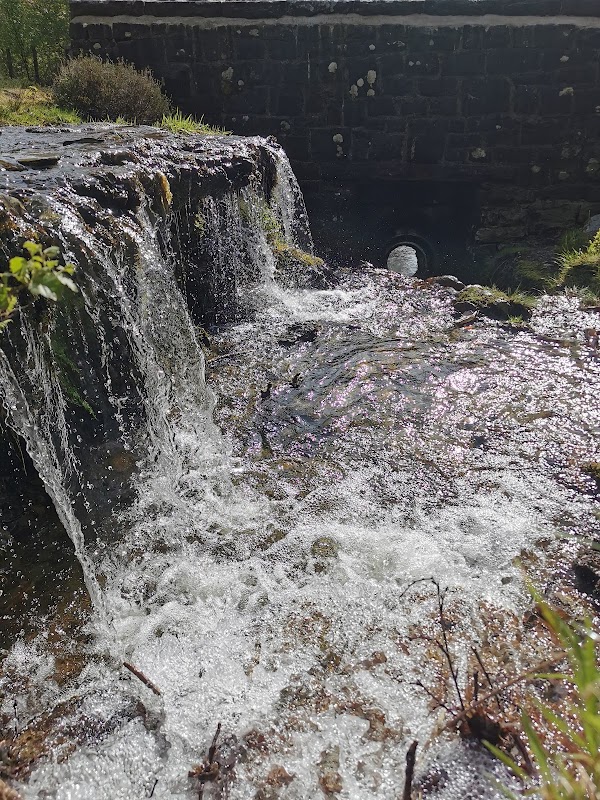 Elan Valley Waterfall Trail 2