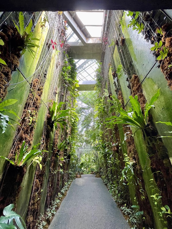 The Kochi Prefectural Makino Botanical Garden 5