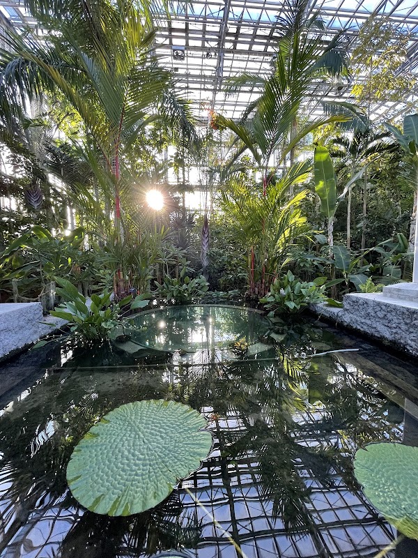 The Kochi Prefectural Makino Botanical Garden 2