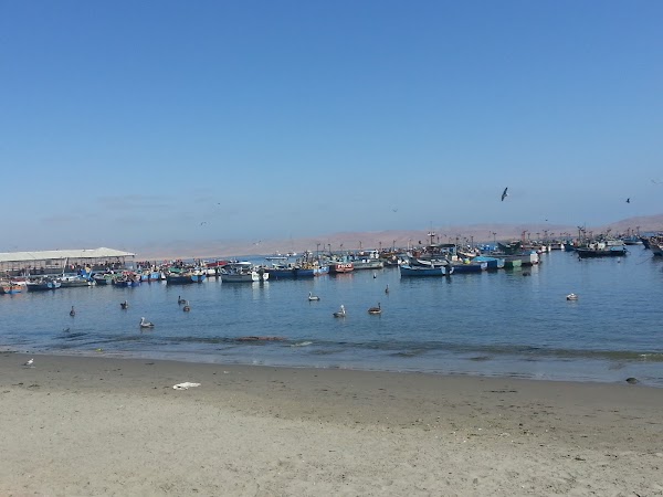 El Chaco Paracas 4