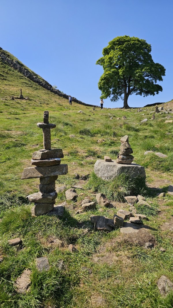Sycamore Gap Tree Memorial 5