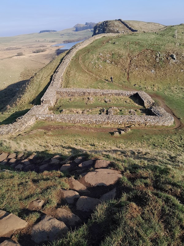 Sycamore Gap Tree Memorial 4