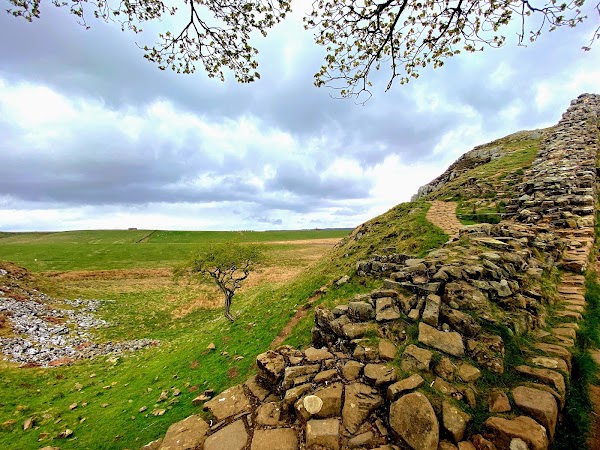 Sycamore Gap Tree Memorial 3