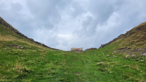Sycamore Gap Tree Memorial 2