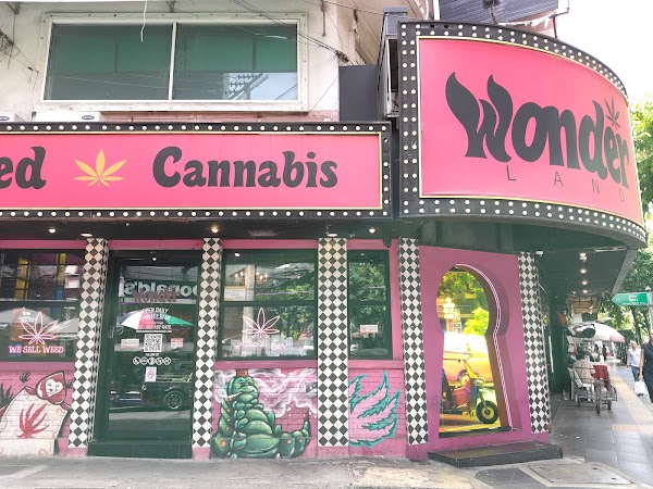 Wonderland Bangkok