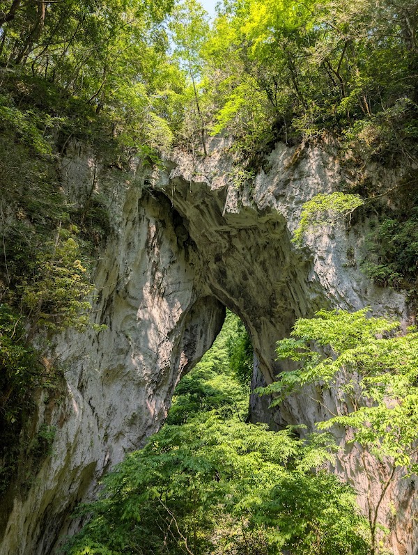 Rashōmon
