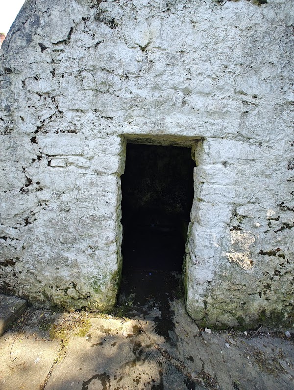 Kenny's Well