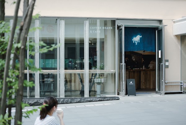 COYOTE the ordinary shop 3