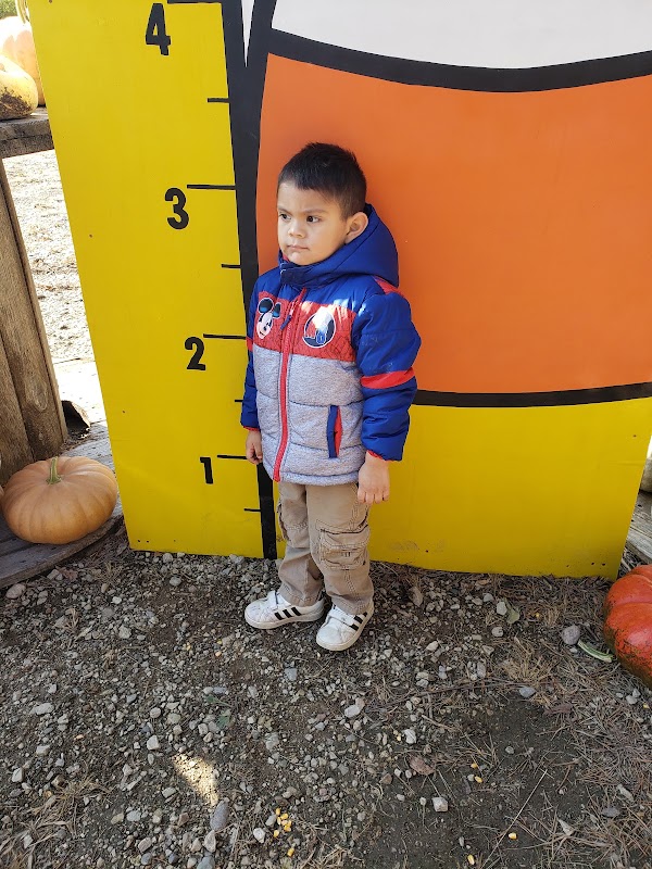 Jones Nursery & Garden Store