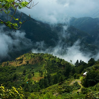 Blue Mountains 1