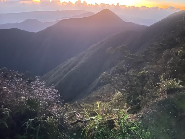 Blue Mountains 5