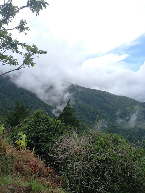 Blue Mountains 4