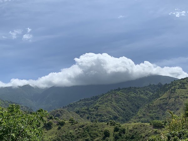 Blue Mountains 3