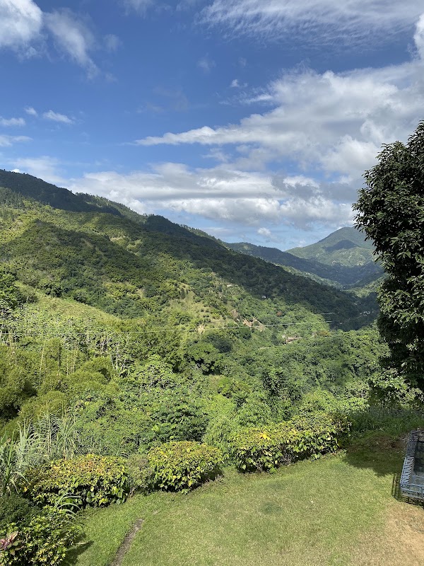 Blue Mountains 2