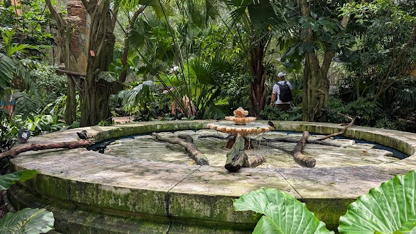 Maharajah Jungle Trek 2