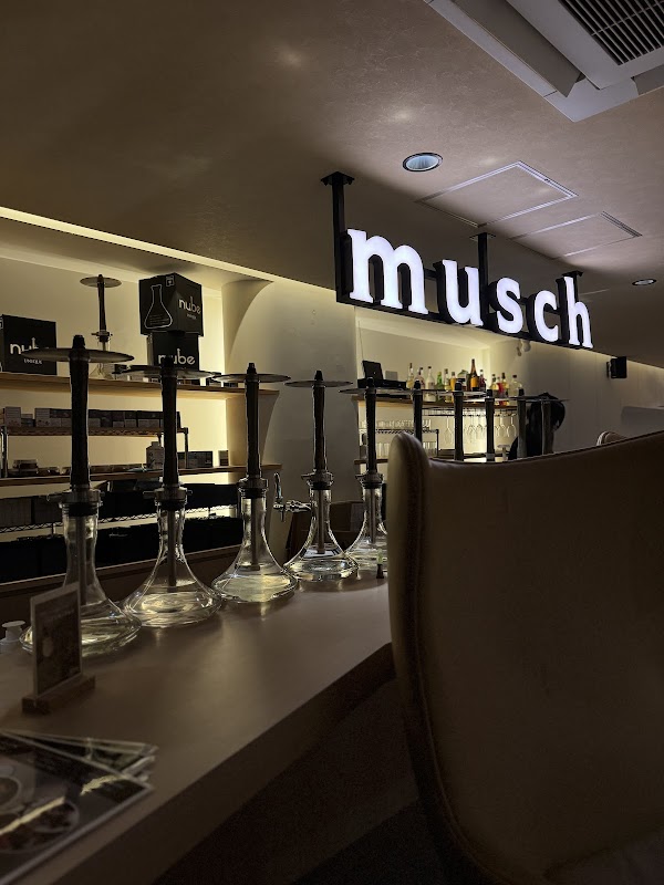 musch 2