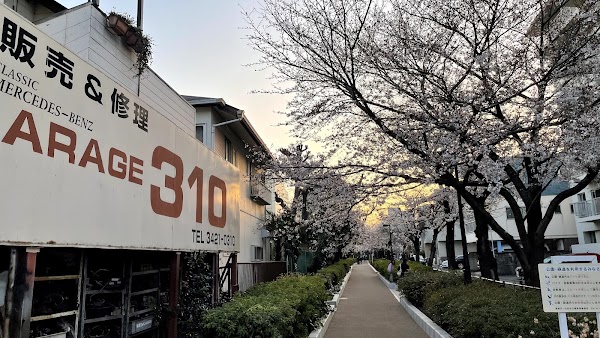Setagaya City 5