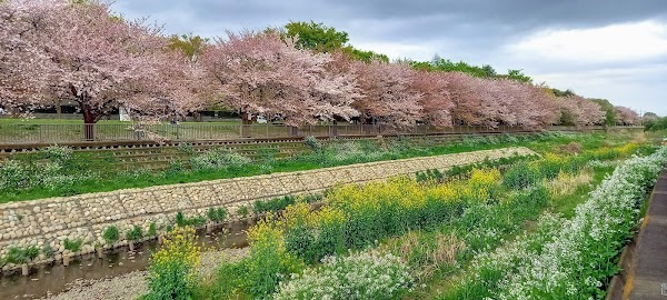 Setagaya City 4