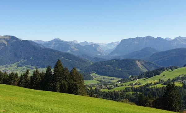Bregenz Forest