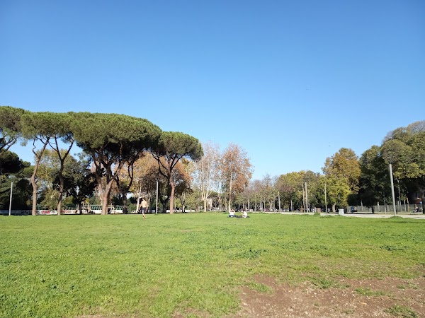 Parco Schuster