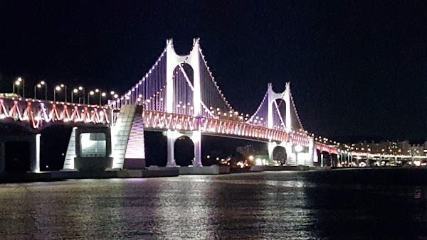 Busan 24